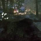 Złamana gałąź w Chwaszczynie /fot. internet/ospchwaszczyno.pl