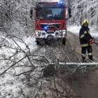 zdjęcie nr 21