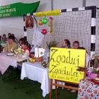 zdjęcie nr 13