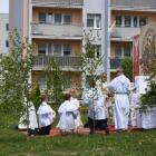 zdjęcie nr 118