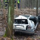 zdjęcie nr 7