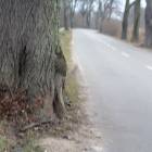 zdjęcie nr 6