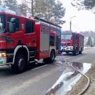 zdjęcie nr 7