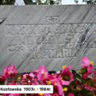zdjęcie nr 9