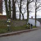 fot. Longina Templin