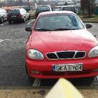 zdjęcie nr 7