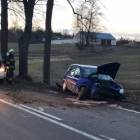 zdjęcie nr 7