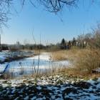 Niezagospodarowany teren zamieni sie w miejski park /fot. Longina Templin