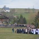 zdjęcie nr 49