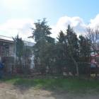 fot. AL