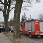 zdjęcie nr 16