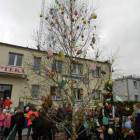 fot. Longina Templin