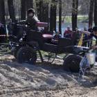 zdjęcie nr 31