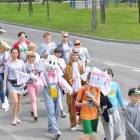 zdjęcie nr 17