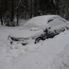 Ten nissan stoi na poboczu już od kilku tygodni /fot. DWK