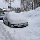zdjęcie nr 3