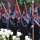 zdjęcie nr 13