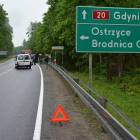 zdjęcie nr 7