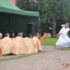 zdjęcie nr 23