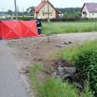 zdjęcie nr 8