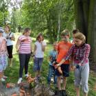 zdjęcie nr 33