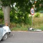 zdjęcie nr 9
