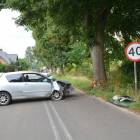 zdjęcie nr 11