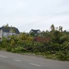 zdjęcie nr 9