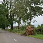 zdjęcie nr 26