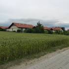 zdjęcie nr 14
