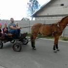 zdjęcie nr 69