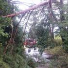 fot. internet/facebook/OSP Chmielno