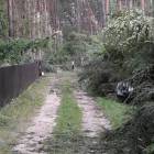 zdjęcie nr 36