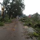 zdjęcie nr 43