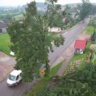 zdjęcie nr 45