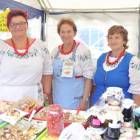 zdjęcie nr 33