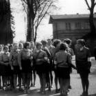 zdjęcie nr 64
