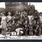 zdjęcie nr 52