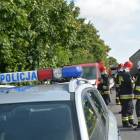 zdjęcie nr 9