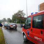 zdjęcie nr 8