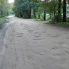 zdjęcie nr 10