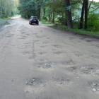 zdjęcie nr 12
