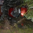 zdjęcie nr 16