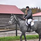 zdjęcie nr 13