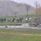 zdjęcie nr 33