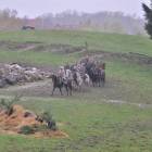 zdjęcie nr 34