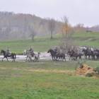 zdjęcie nr 35