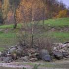 zdjęcie nr 45