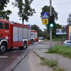 zdjęcie nr 20