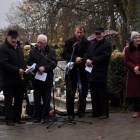 zdjęcie nr 11